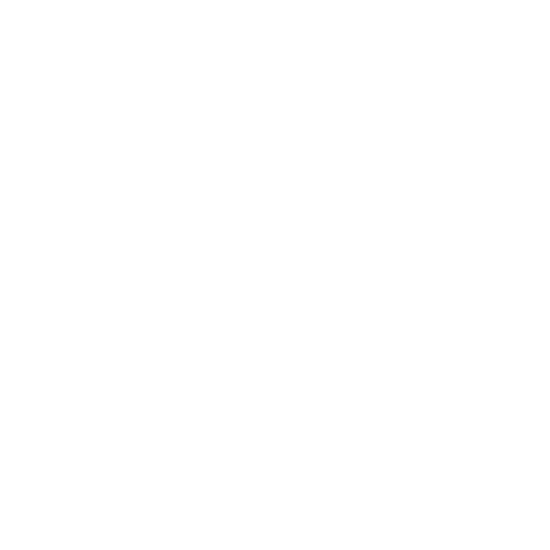 Prof. Dr. Ferit Demirkan