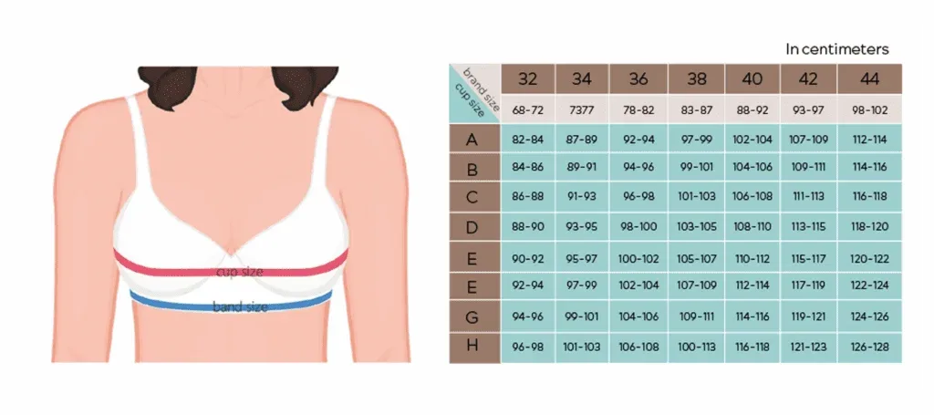 Bra size conversion table across UK, Europe, Russia and Australia/New Zealand