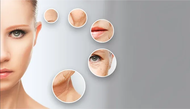 Procedures Combined with a Facelift