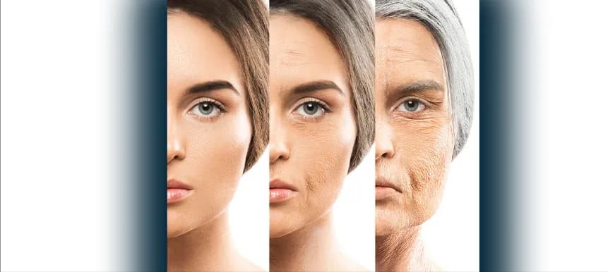 Four Pillars of Facial Aging
