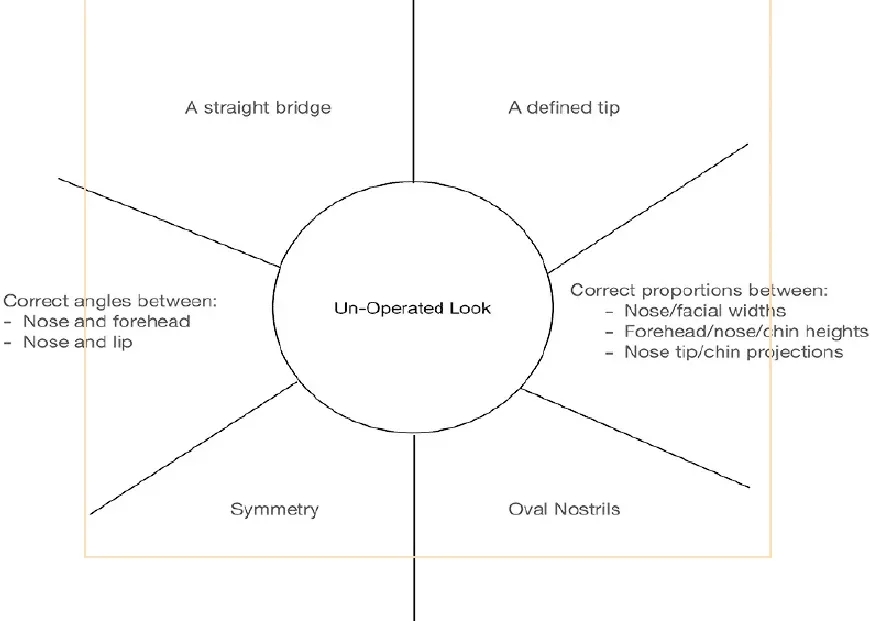 Characteristics of a natural, un-operated nose shape: a straight bridge, a defined tip, correct angles, correct proportions, symmetry and oval nostrils