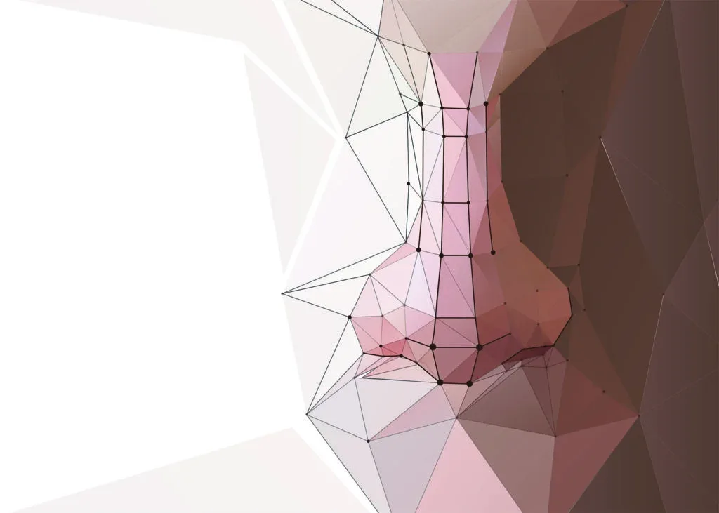Polygonal analysis of the nasal dorsum